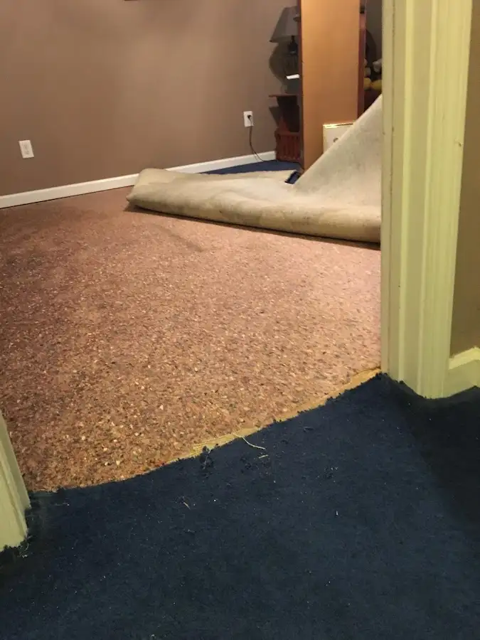 Carpet pad removal revealing water damage during Drying & Dehumidification in Southeast