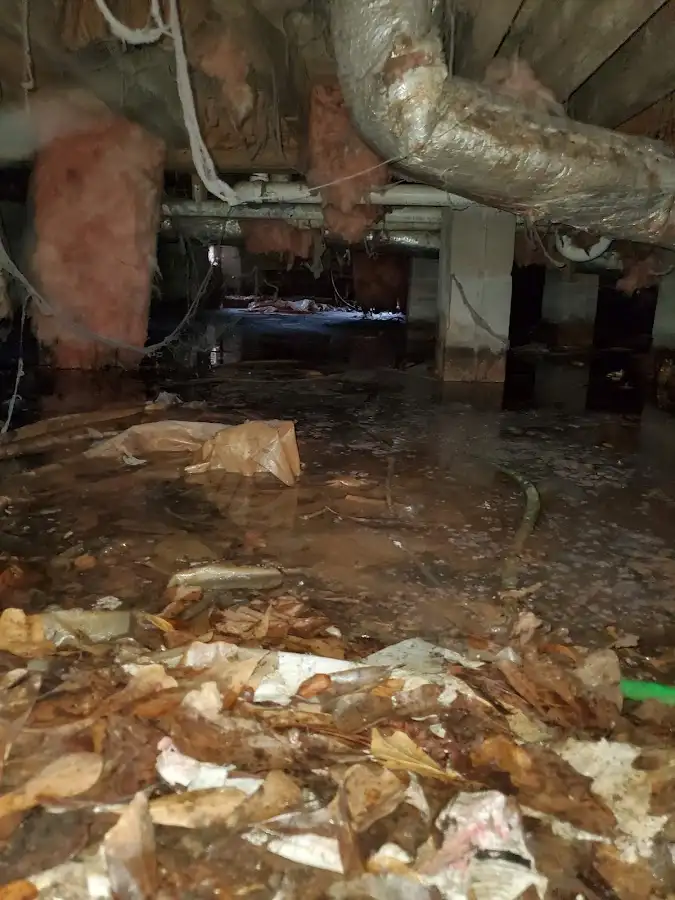 Crawl space flood assessment for Leak Detection & Repair in Southeast