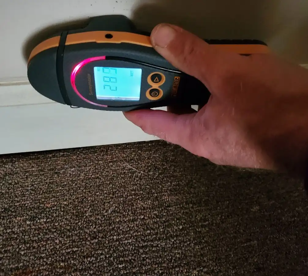 Moisture detection at baseboard during Sewage Cleanup & Sanitation in Southeast
